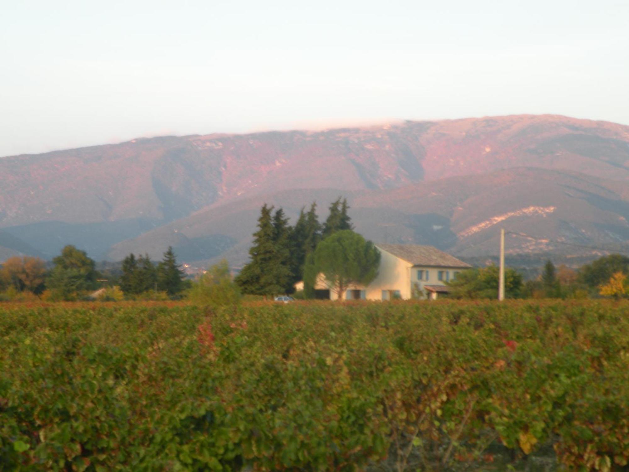 Valréas Maison D'Anvers المظهر الخارجي الصورة